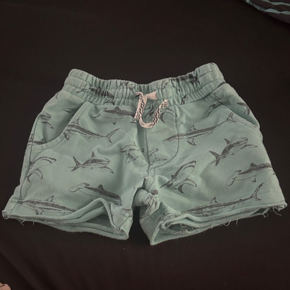 Kids Shark Print Shorts - Green